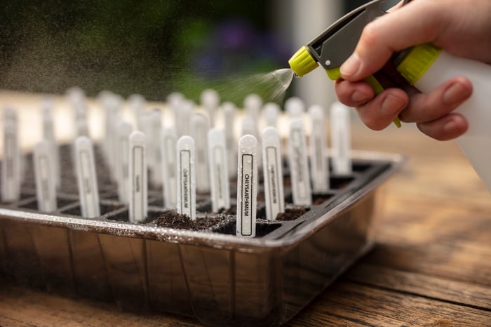 Etiquetas resistentes para mini horta em casa