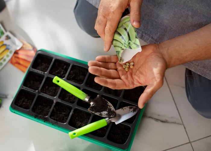 Identificação de sementes para horta