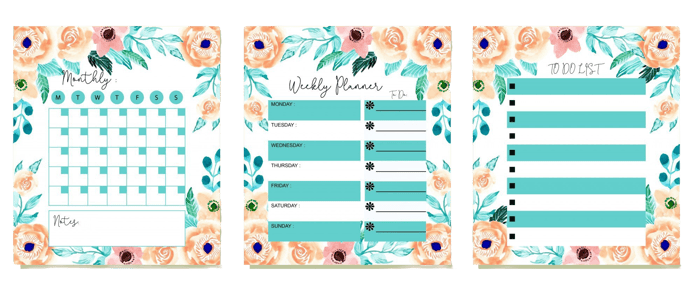 definir-linda-semanalmente-e-para-fazer-a-lista-planejador-flor-aquarela